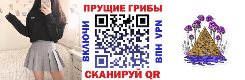 Галлюциногенные грибы мицелий где купить Руза